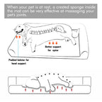 Extra Large Orthopedic Pet Mattress  with Removable Washable Cover Soft Sponge Foam
