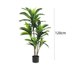 Artificial Dracaena Plant Indoor