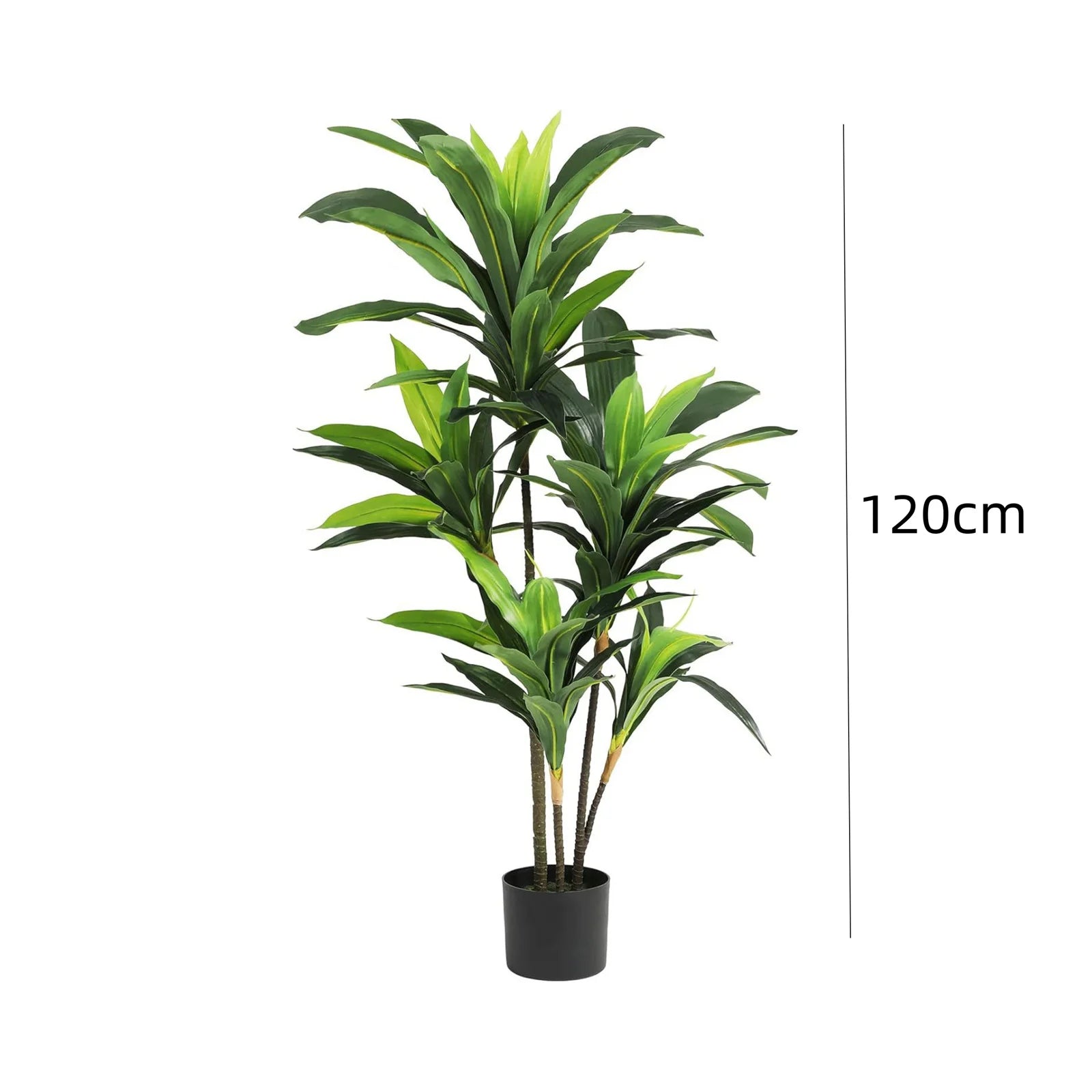 Artificial Dracaena Plant Indoor