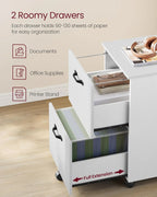 2-Drawer File Cabinet for Home Office, Printer Stand