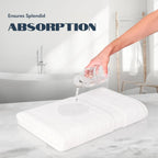 White Classic Luxury Bath Towels Set of 4, Ultra Soft and Highly Absorbent
