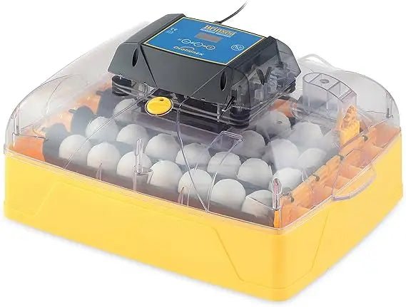 Ovation 28 EX Automatic Humidity and Egg Rotating Incubator