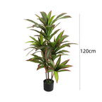 Artificial Dracaena Plant Indoor