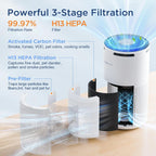 HEPA Air Purifier Air Cleaner for Smoke Pollen Dust