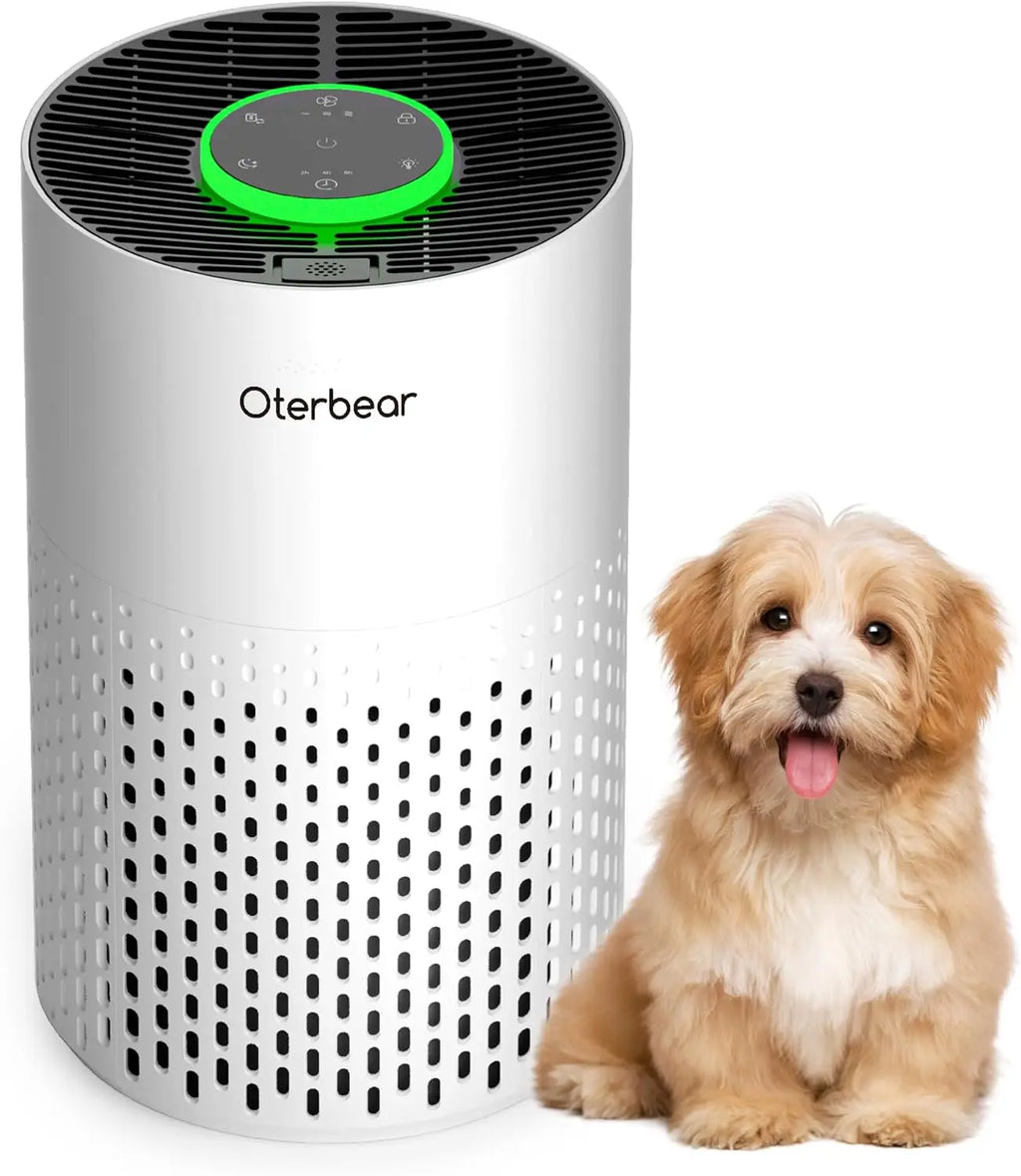 HEPA Air Purifier . To Help control Dust