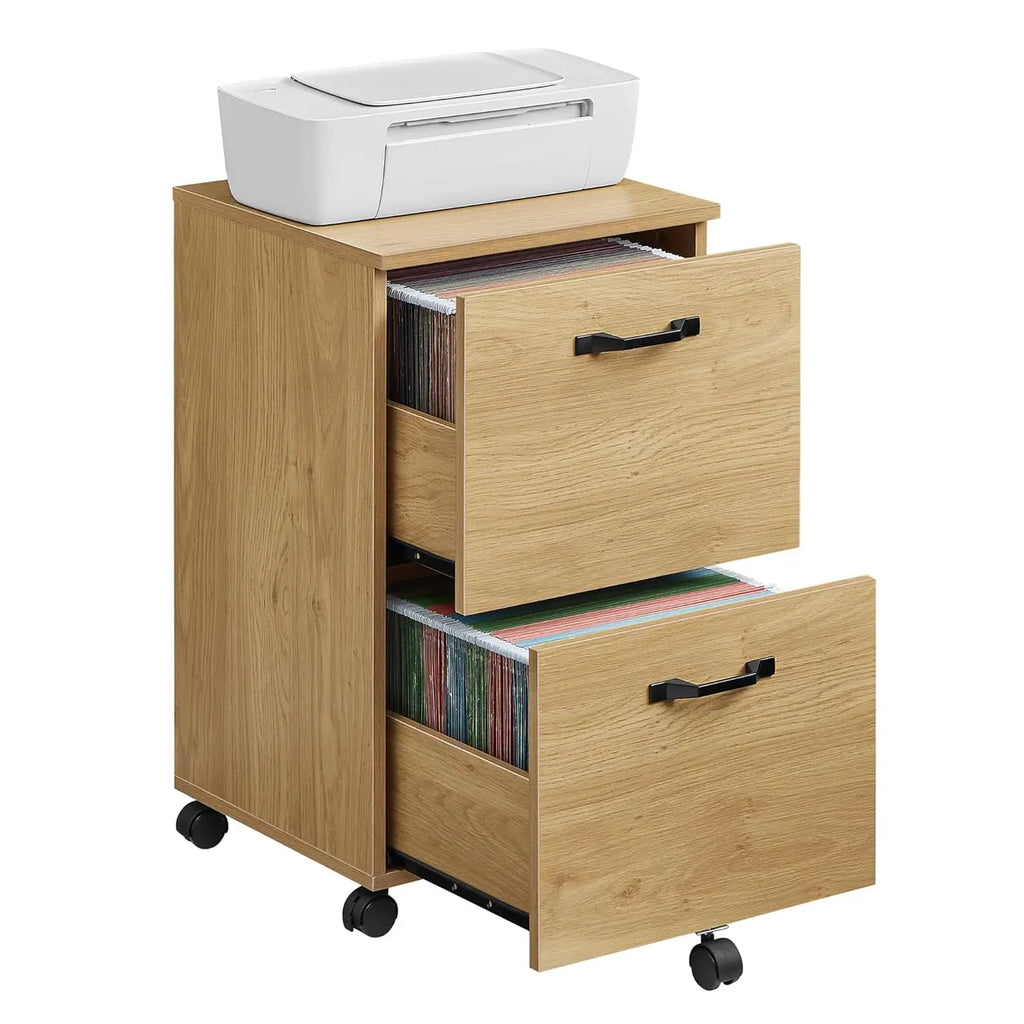 2-Drawer File Cabinet for Home Office, Printer Stand