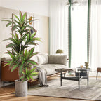 Artificial Dracaena Plant Indoor