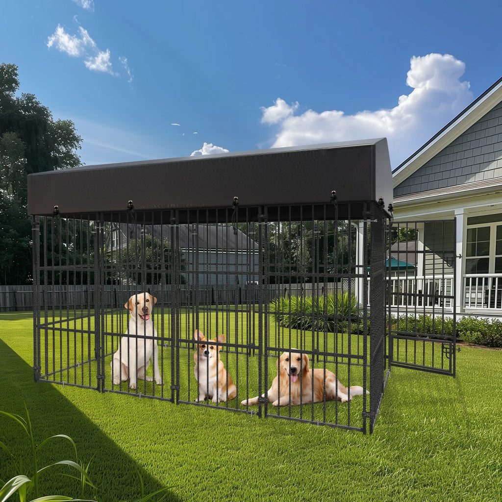 Luxury Outdoor Dog Kennel with Roof