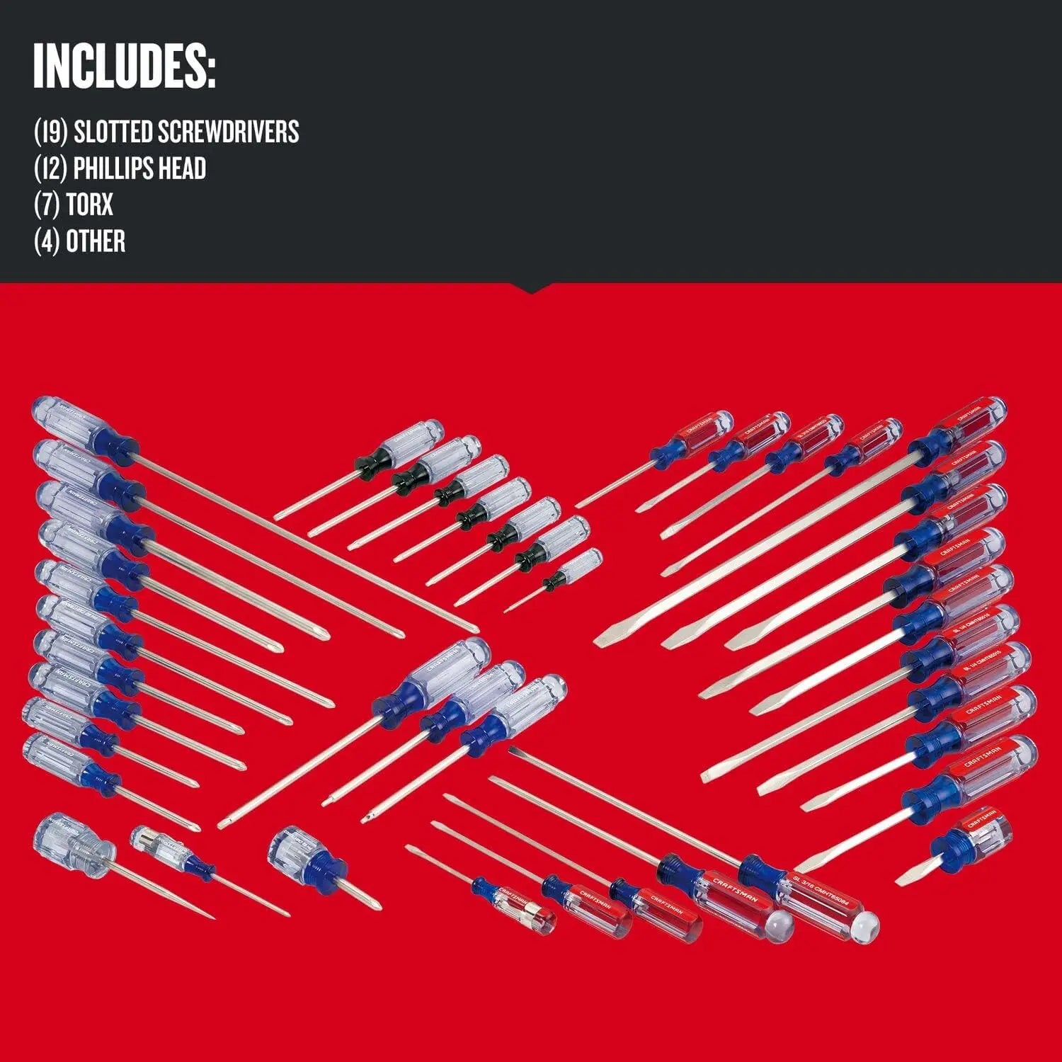 42-Piece Screwdriver Set with Phillips, Slotted, Torx Bits and Acetate Handle for Versatile DIY Tasks