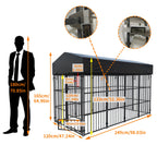 Luxury Outdoor Dog Kennel with Roof
