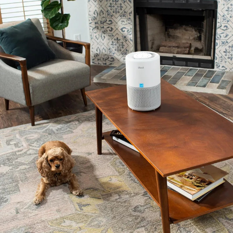 LEVOIT Core 200S Smart Air Purifier